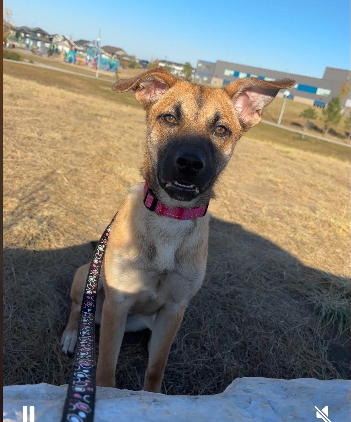 Luna