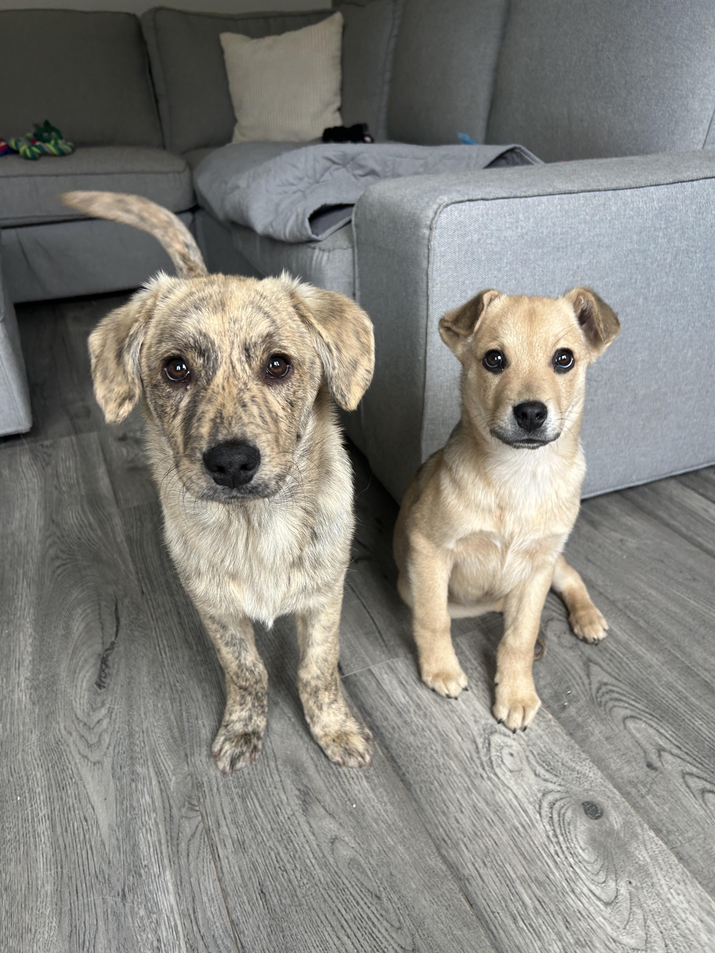 Tate — thumbnail 5