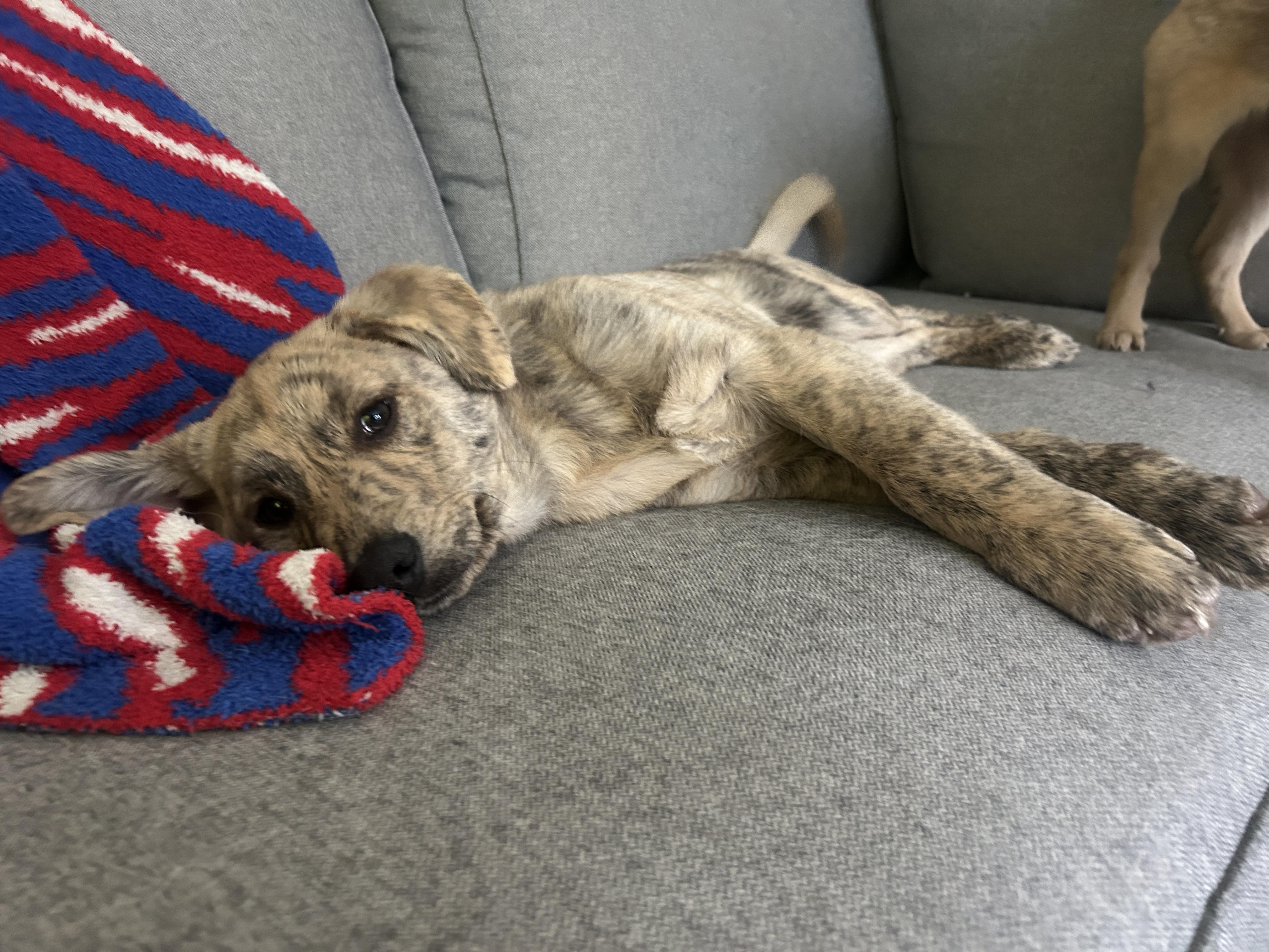 Tate — thumbnail 6