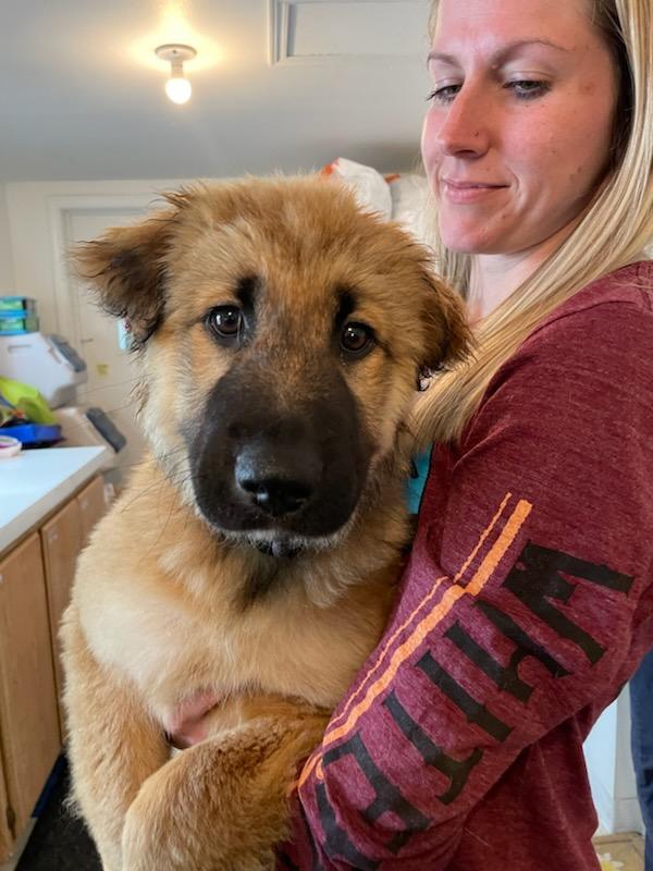 Birch, a ADOPTABLE Mixed Breed in Polson, MT image 2/4