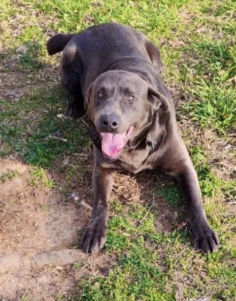 Leonard — thumbnail 2