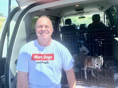 Enlarge Betsy, a Adoptable Shih Tzu in Saint Charles, MO image 2/3