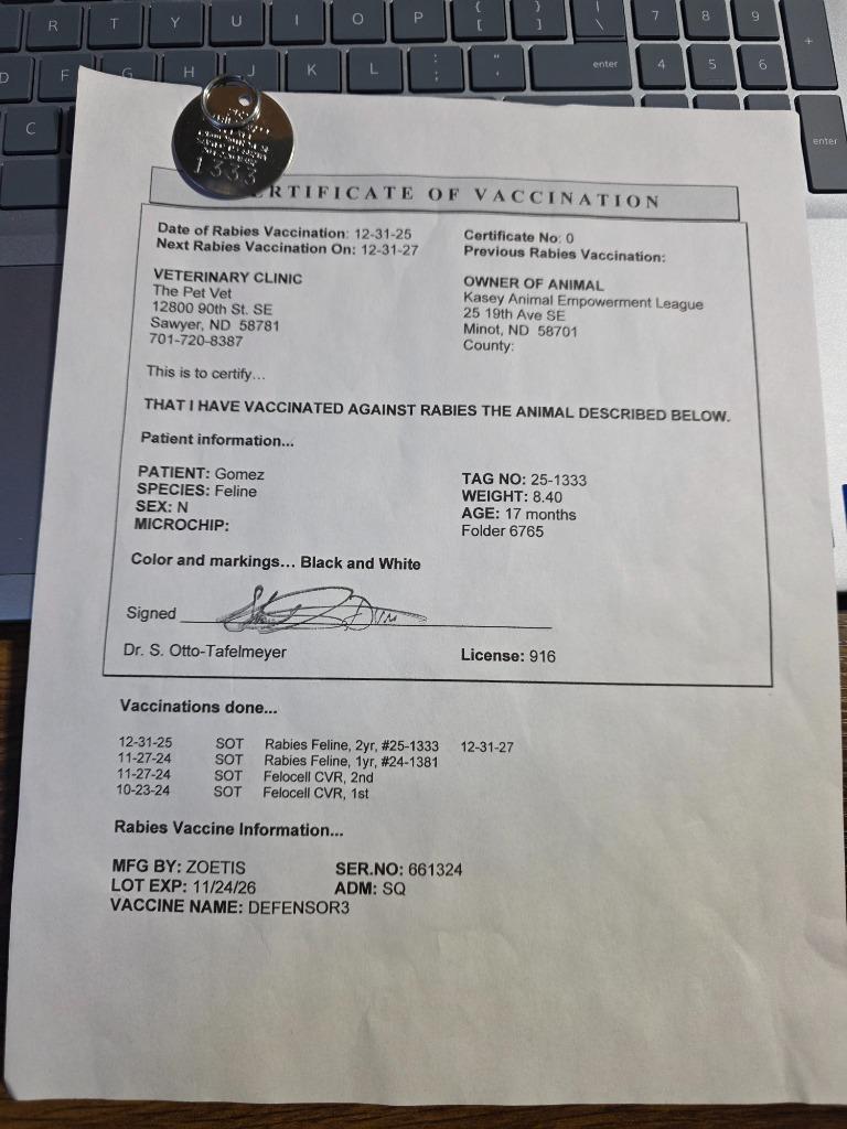 Enlarge Gomez, a Adoptable mixed breed in Minot, ND image 4/5