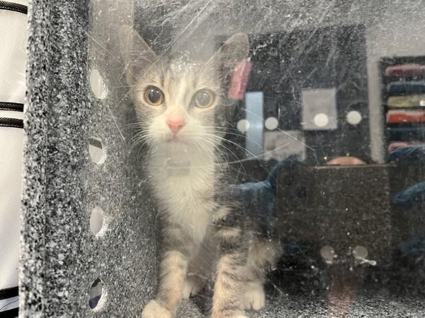 Montana — thumbnail 3