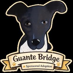 Enlarge Fergie **Sponsored Adoption!**, a Adoptable Mixed Breed in Bend, OR image 6/6