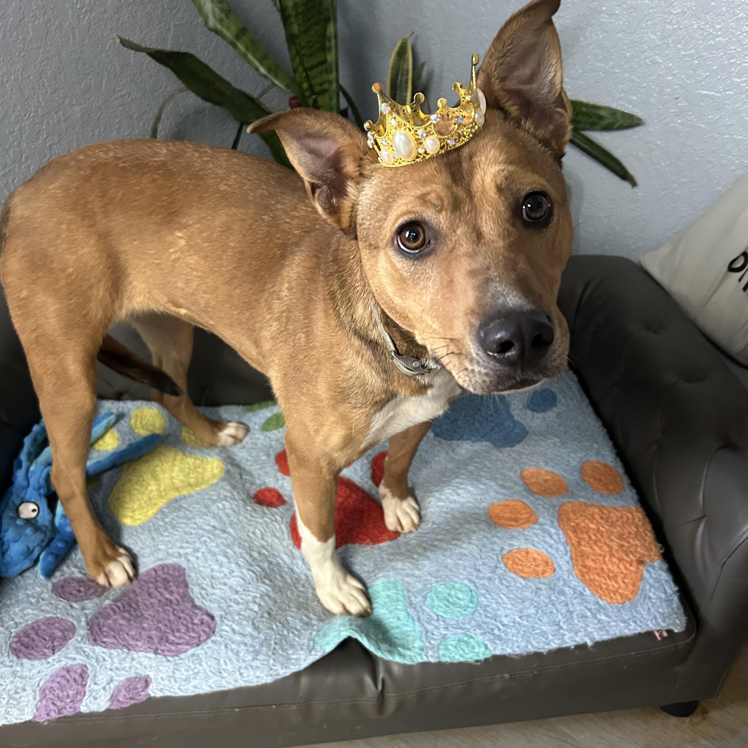 Cassidy Katie thumbnail 2