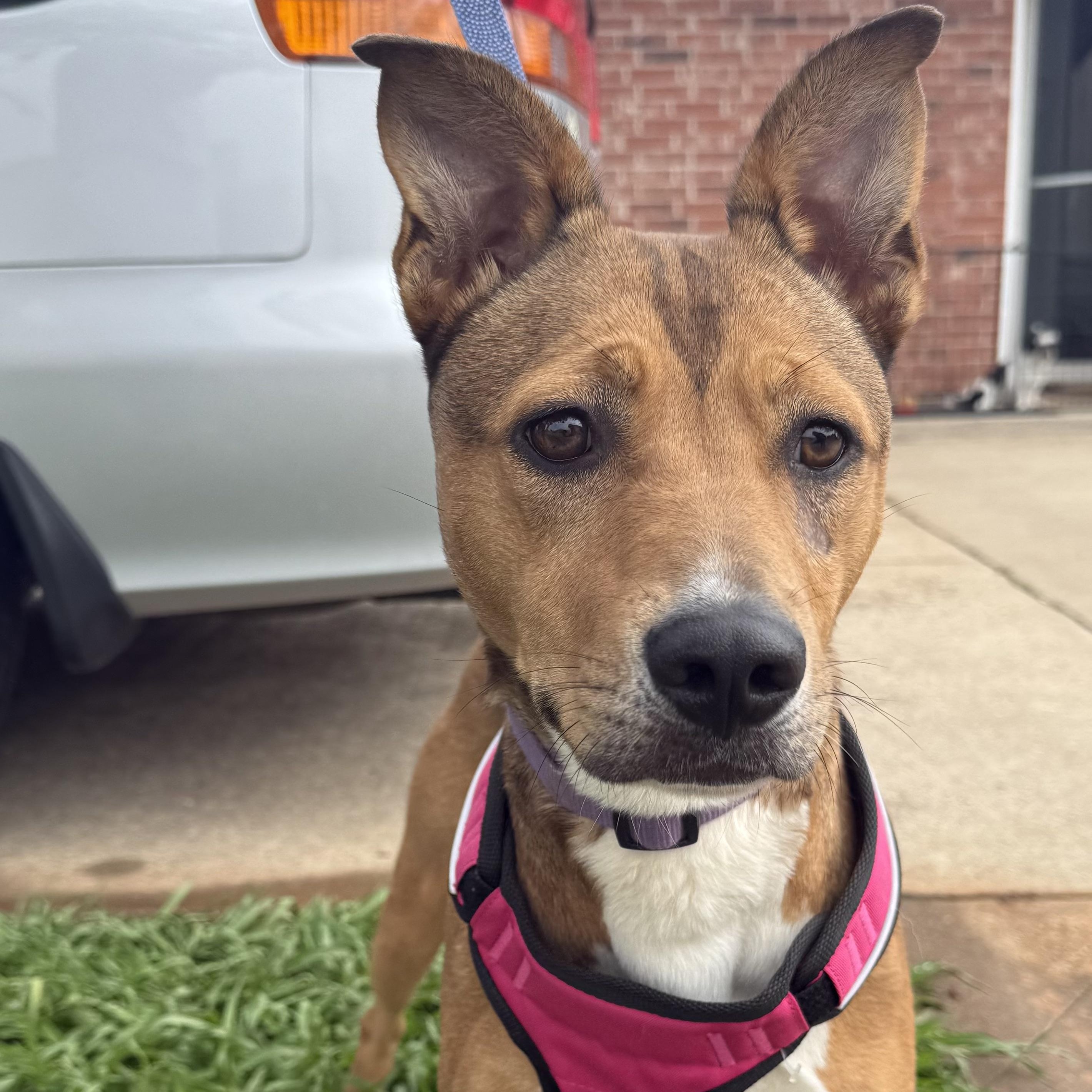 Cassidy Katie thumbnail 3