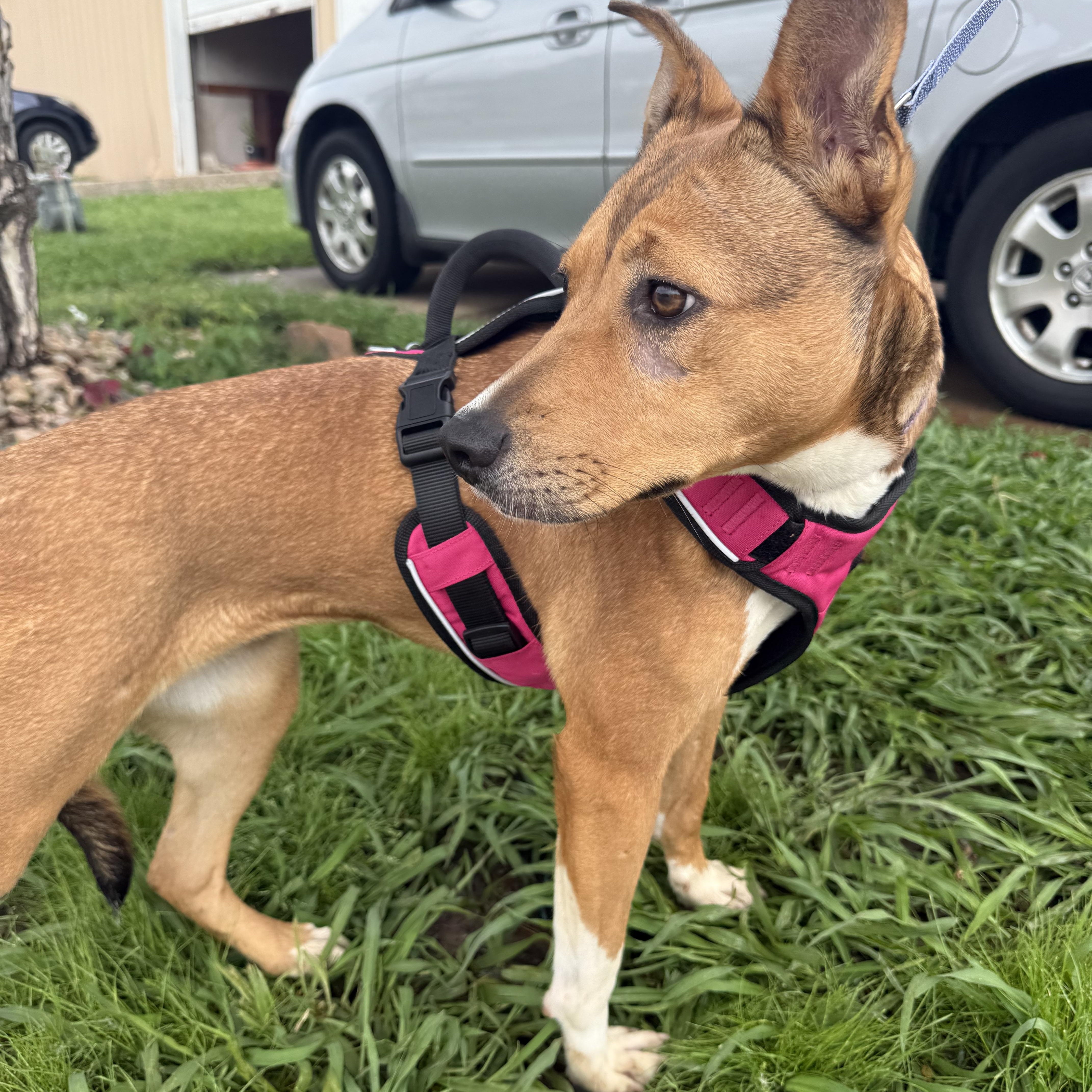 Cassidy Katie thumbnail 4