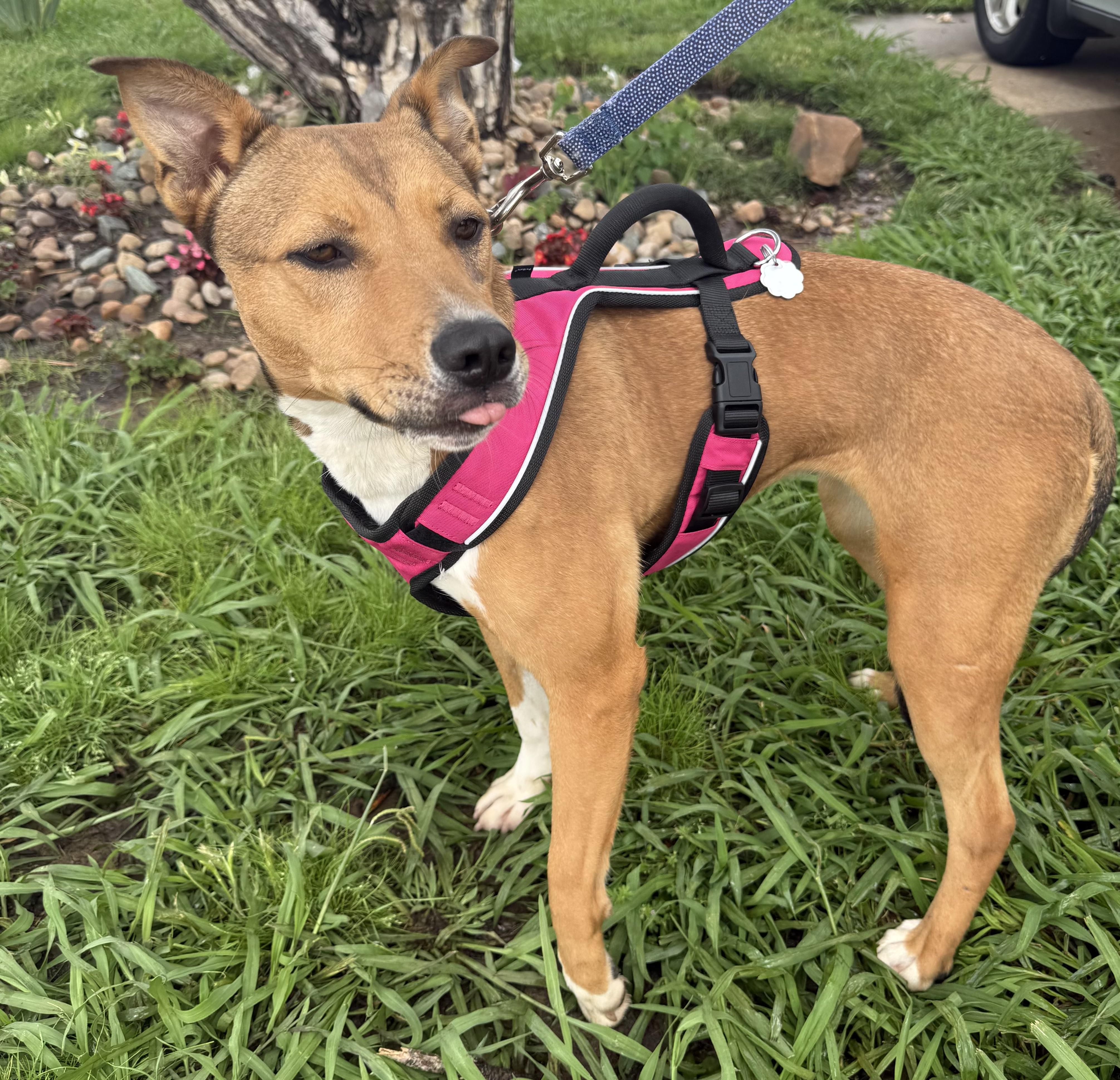 Cassidy Katie thumbnail 5