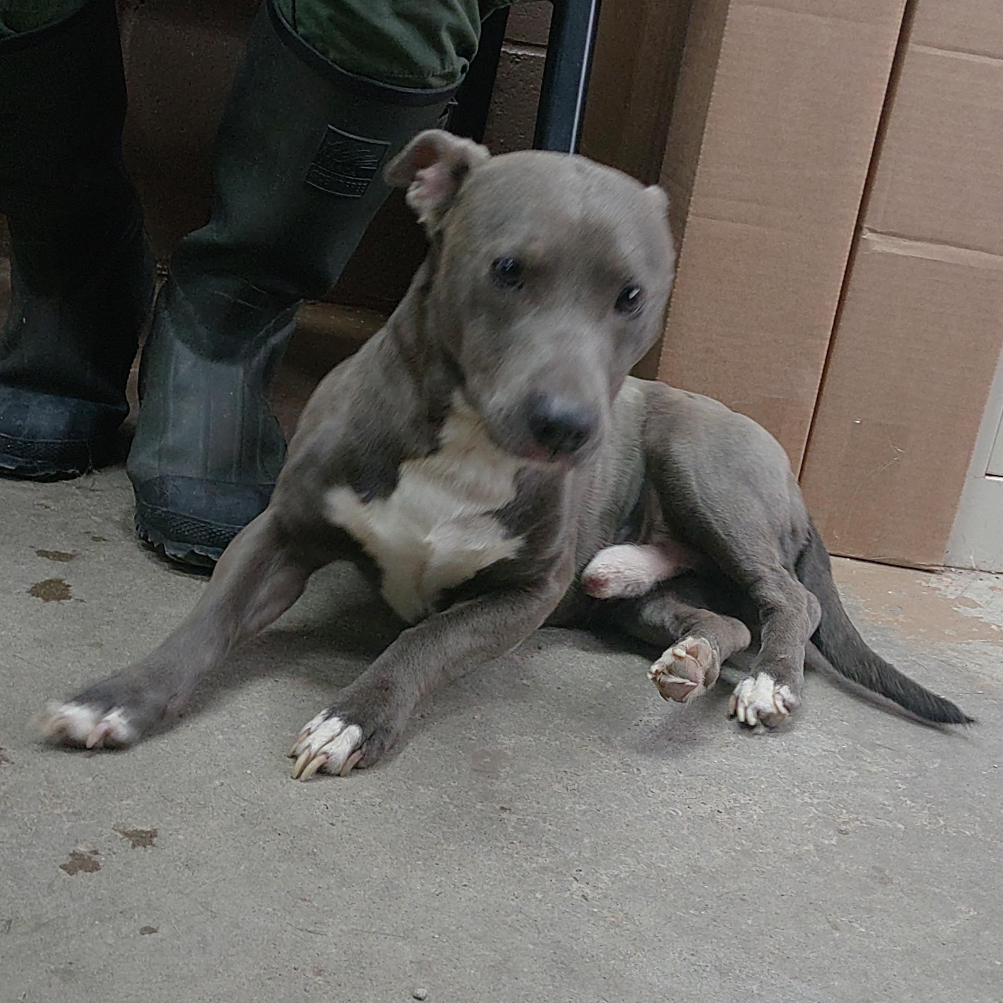 25-019 Available 2-6-25