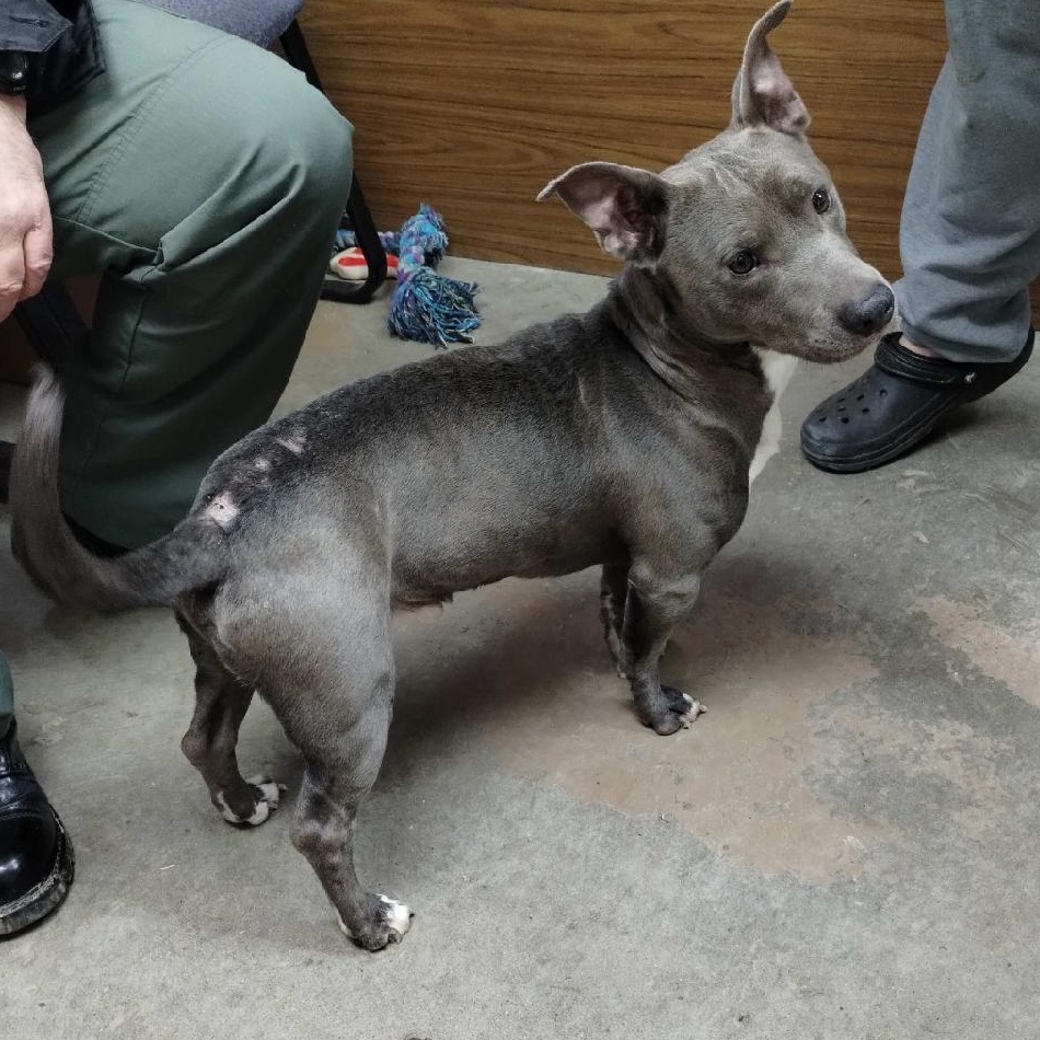 25-019 Available 2-6-25