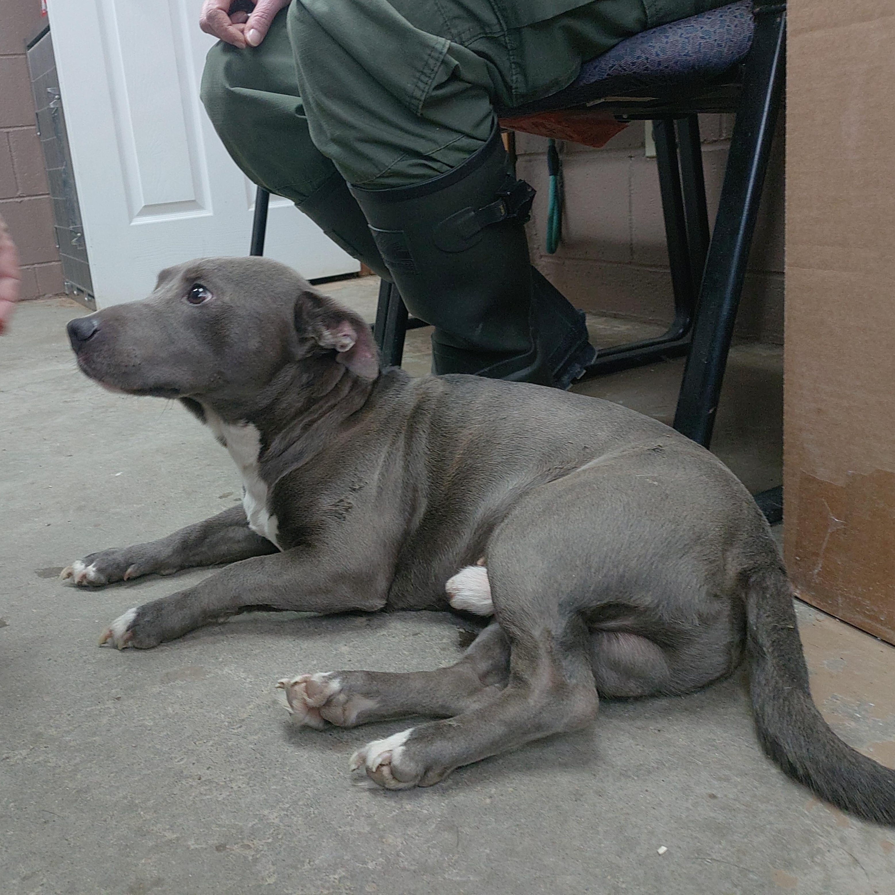 25-019 Available 2-6-25