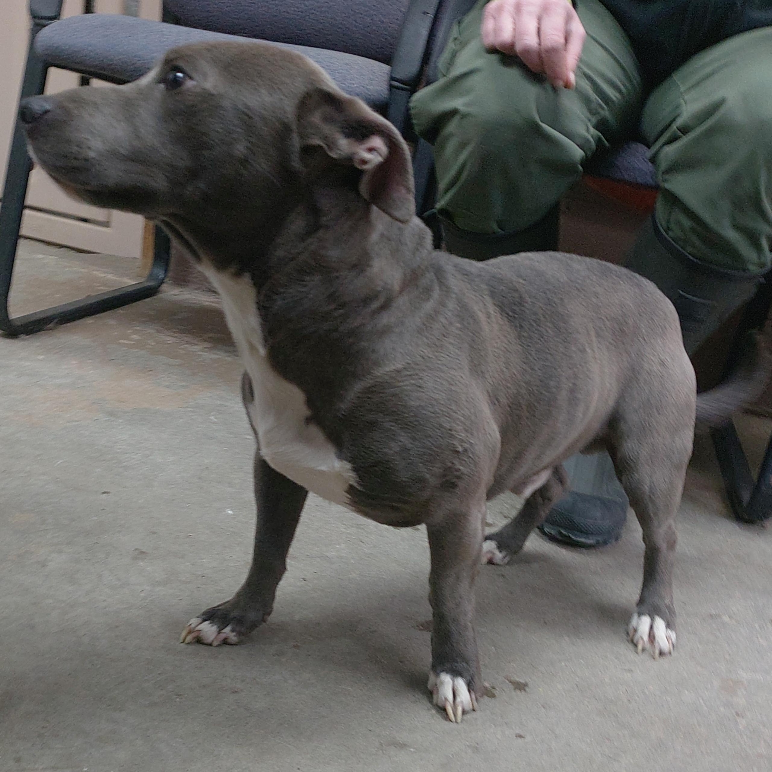 25-019 Available 2-6-25