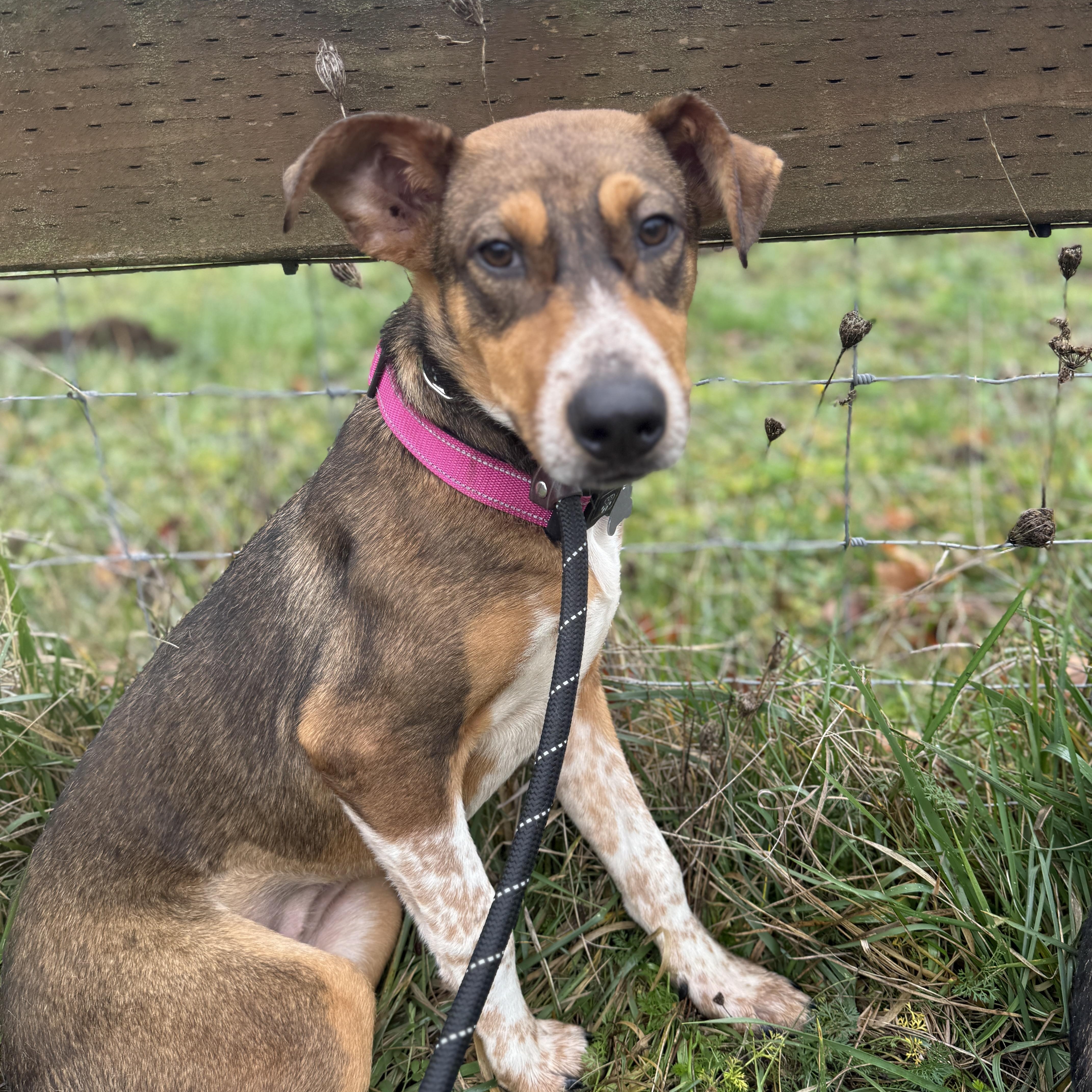 Penny — thumbnail 5