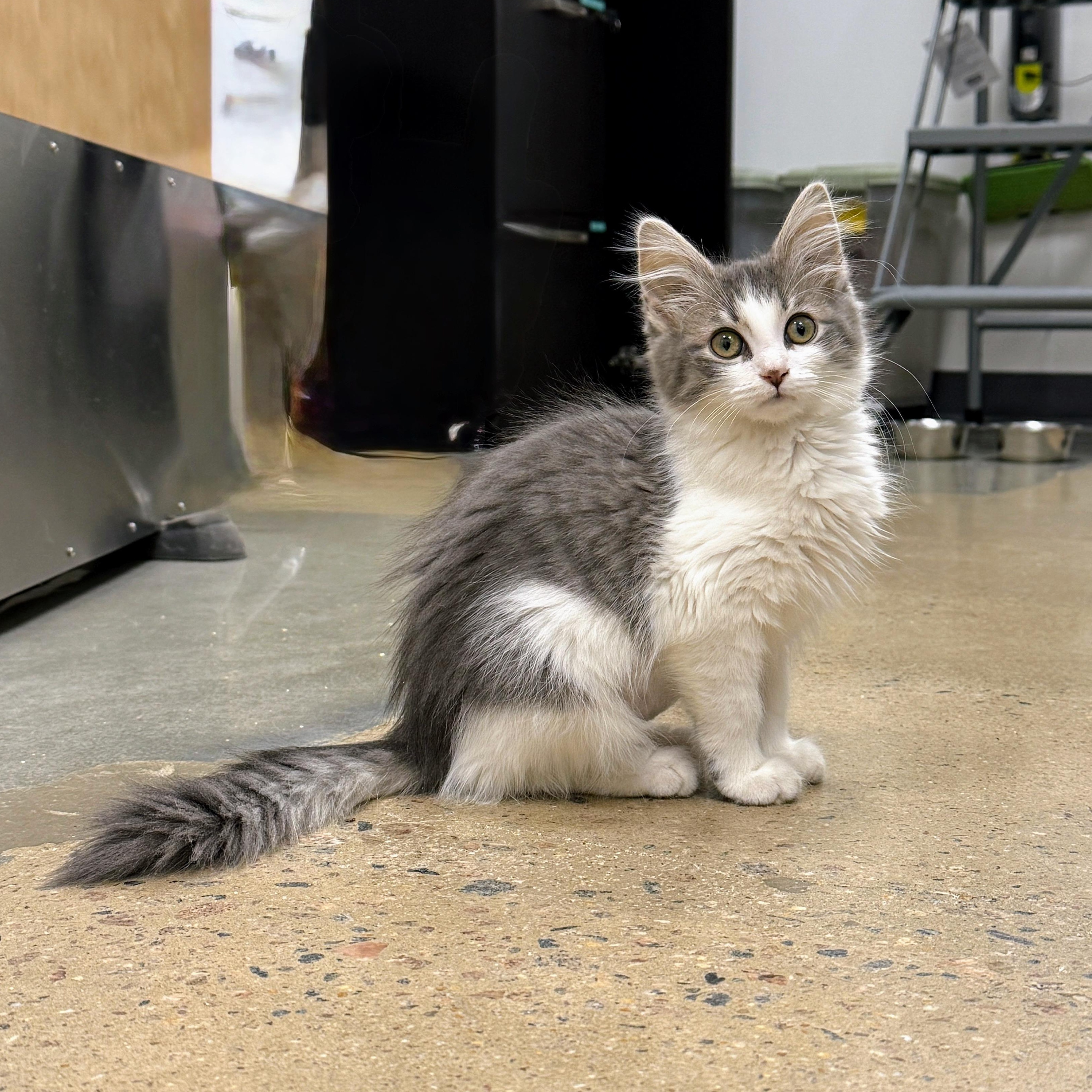 Belinda Cratchit thumbnail 4