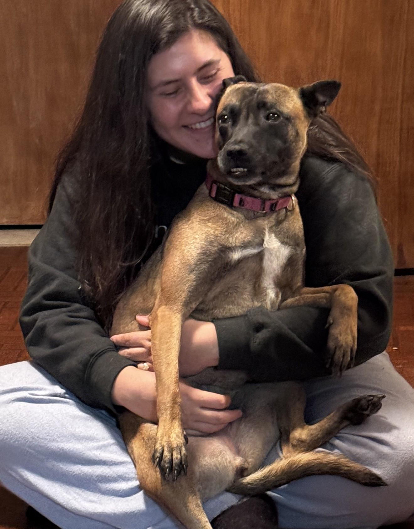 Enlarge Xena Warrior Princess, a ADOPTABLE mixed breed in Norwalk, CT image 2/6