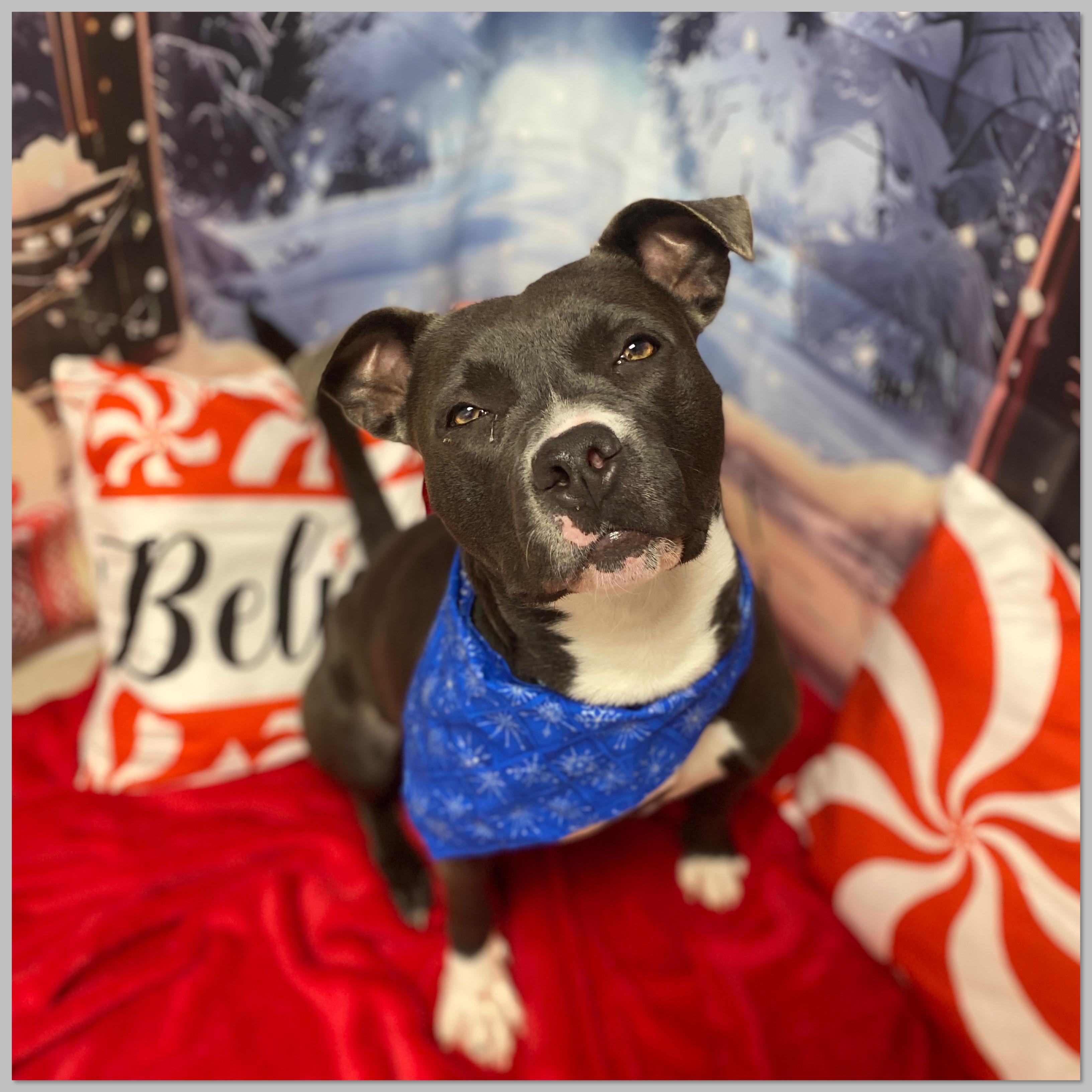 Luna Moon GCI Trained Graduate!!