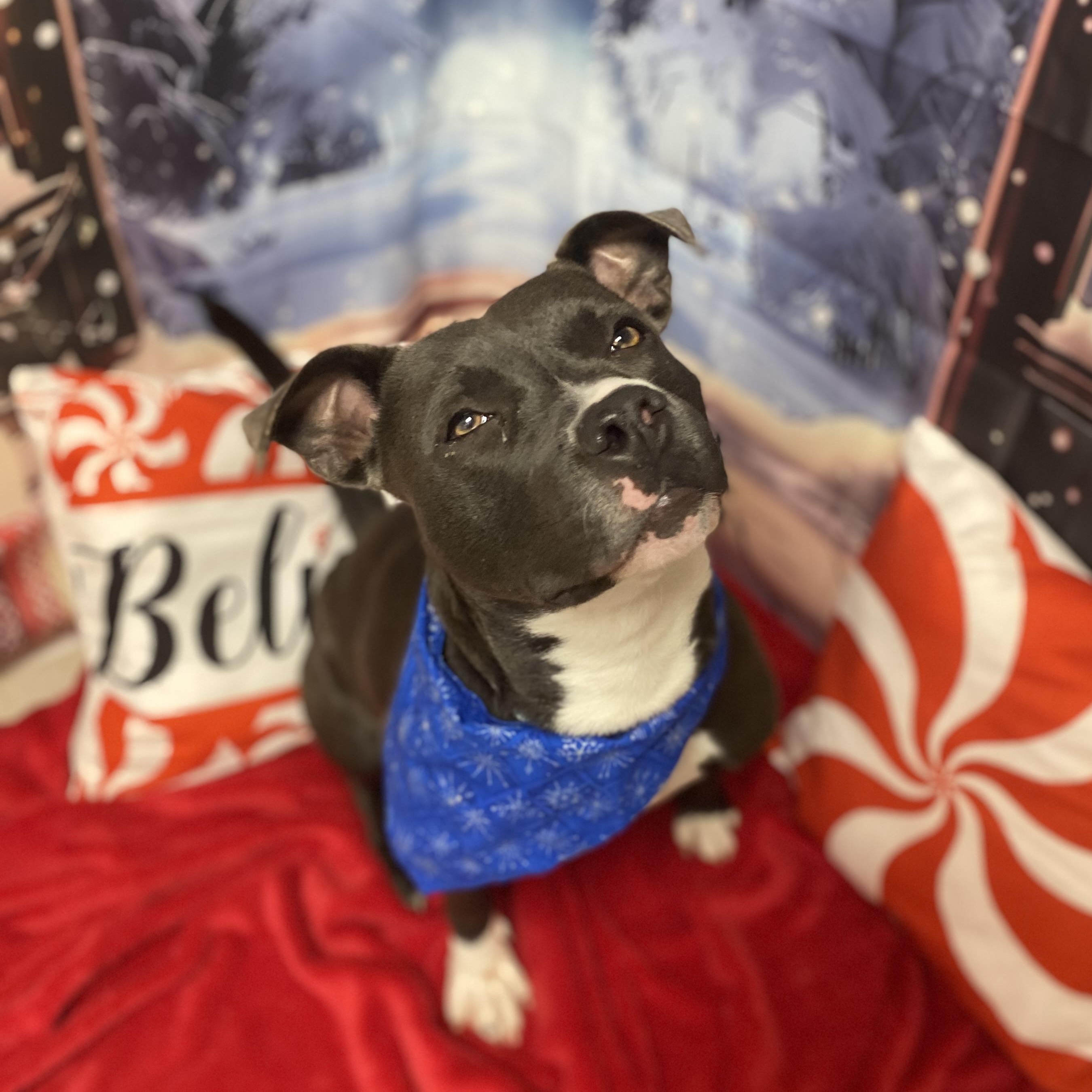 Luna Moon GCI Trained Graduate!!