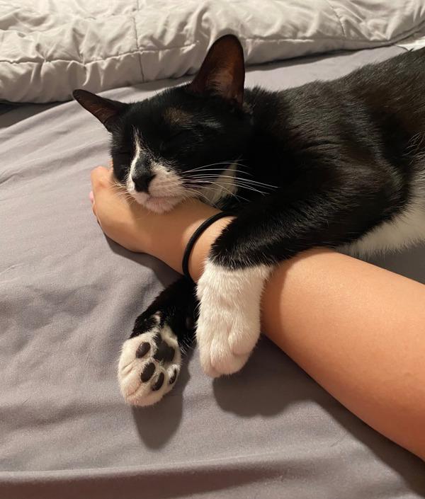 Pepper — thumbnail 3