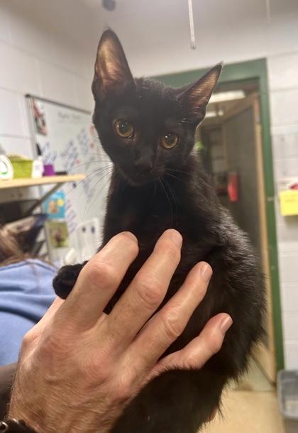 Sally — thumbnail 2