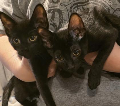 Sally — thumbnail 3