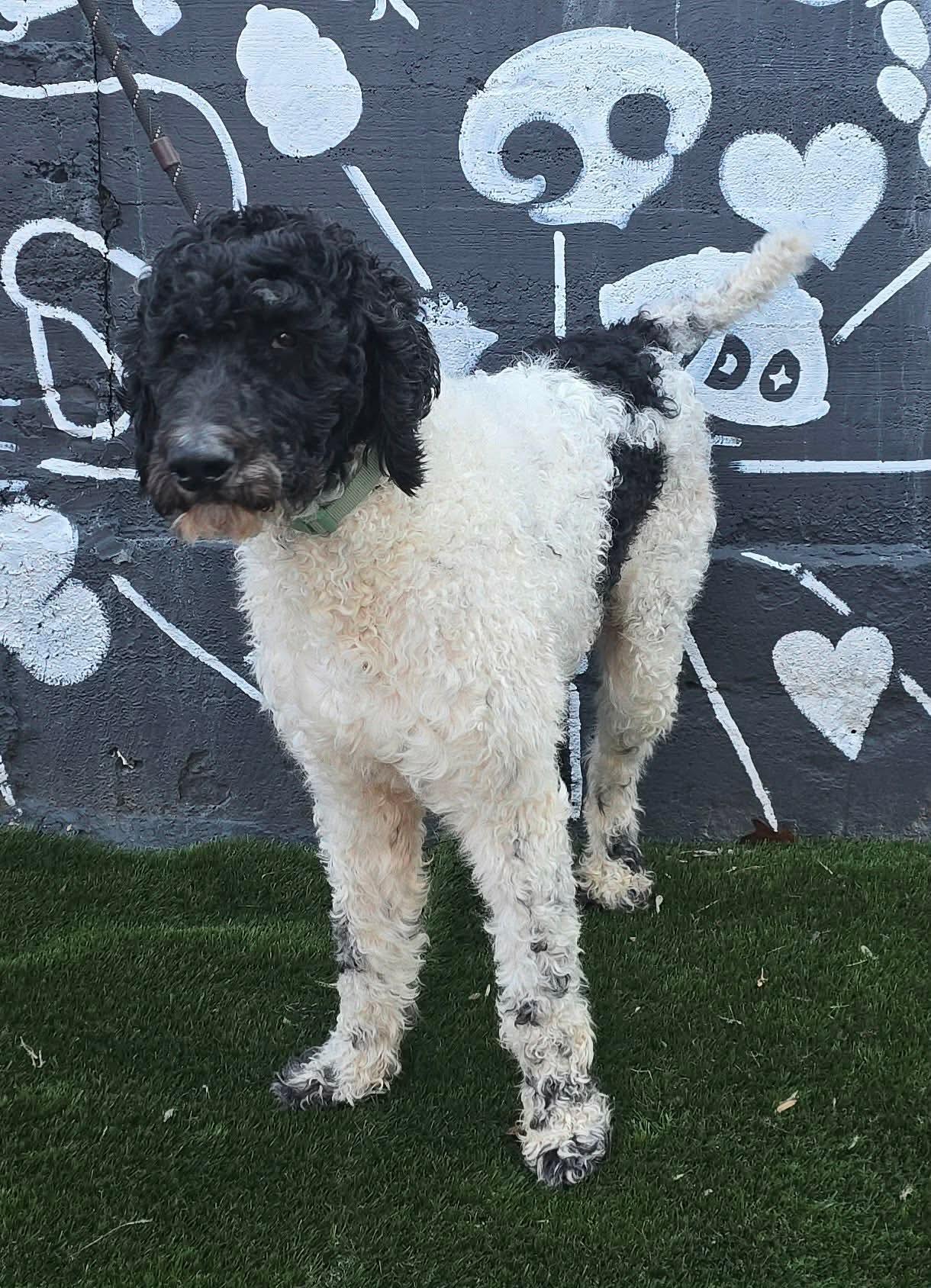 Sriracha thumbnail 2