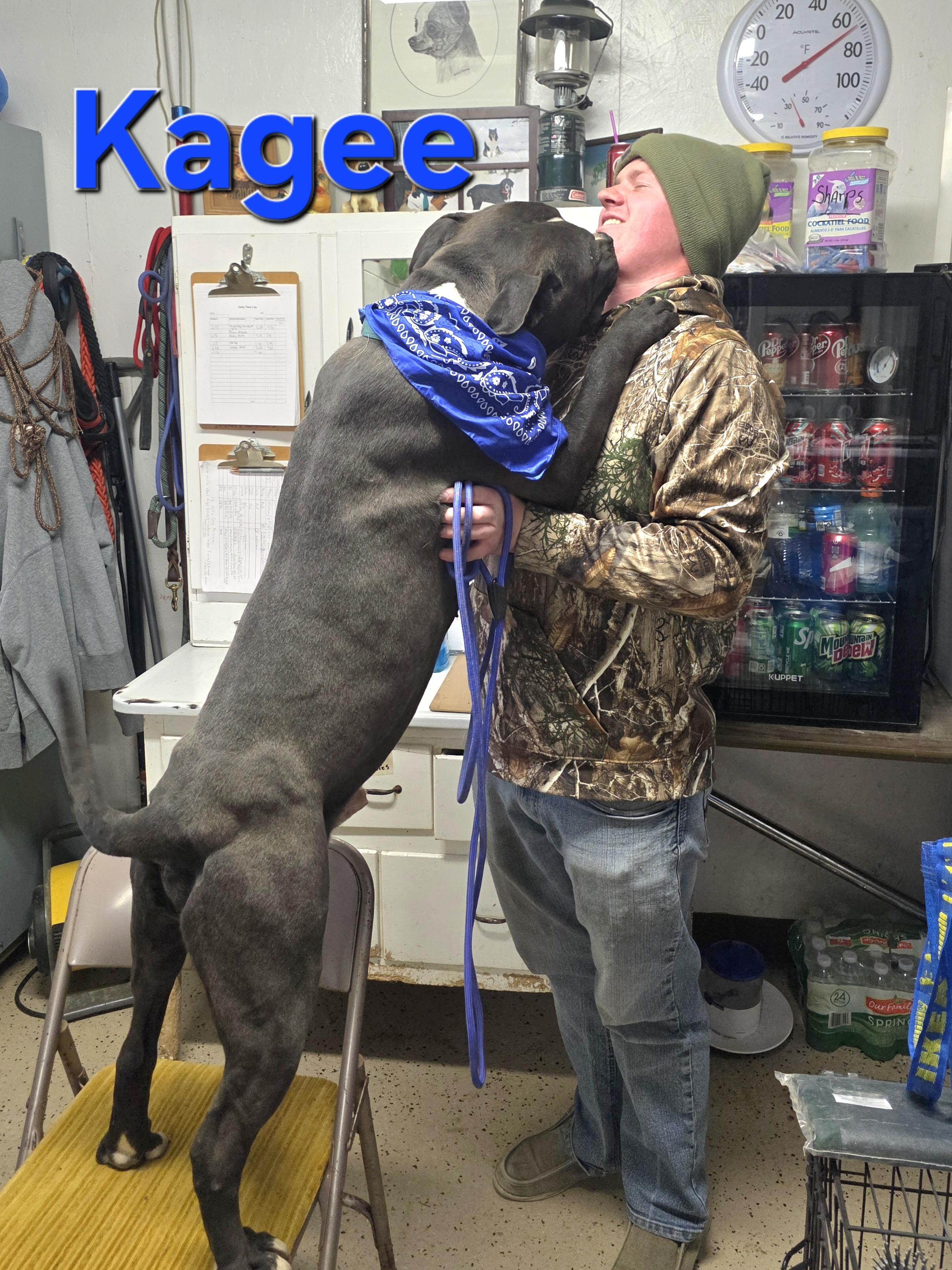 Kagee, a ADOPTABLE mixed breed in Walthill, NE image 3/4