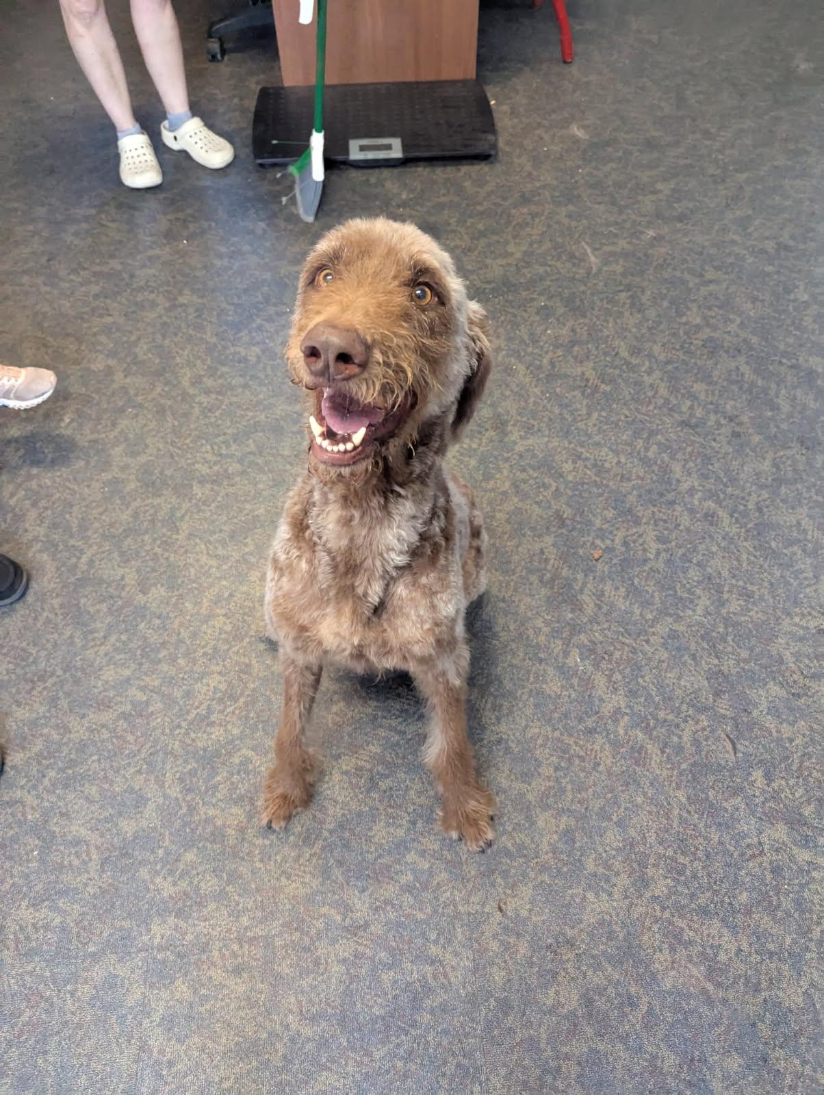 Duke