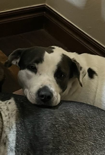 Coral Sue thumbnail 2