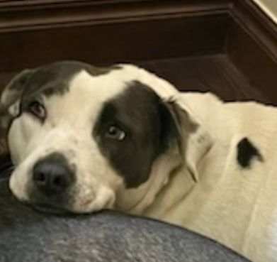 Coral Sue thumbnail 4