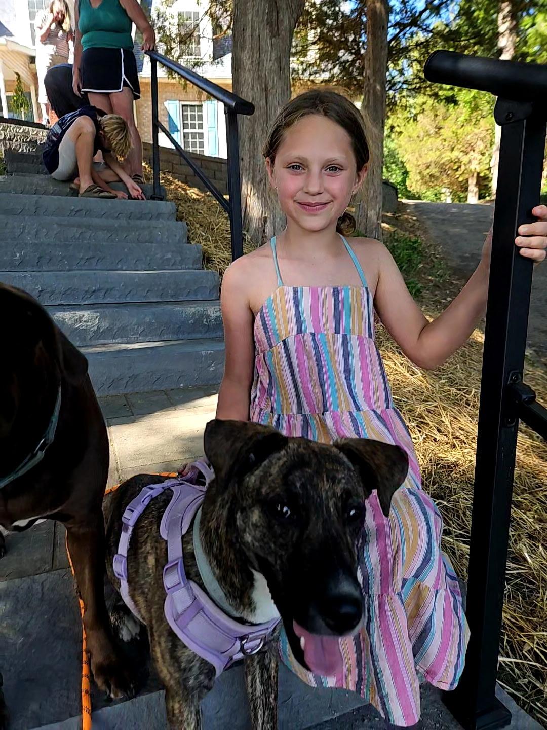 Mirabel/Junie, a Adoptable mixed breed in Columbia, MD image 6/6