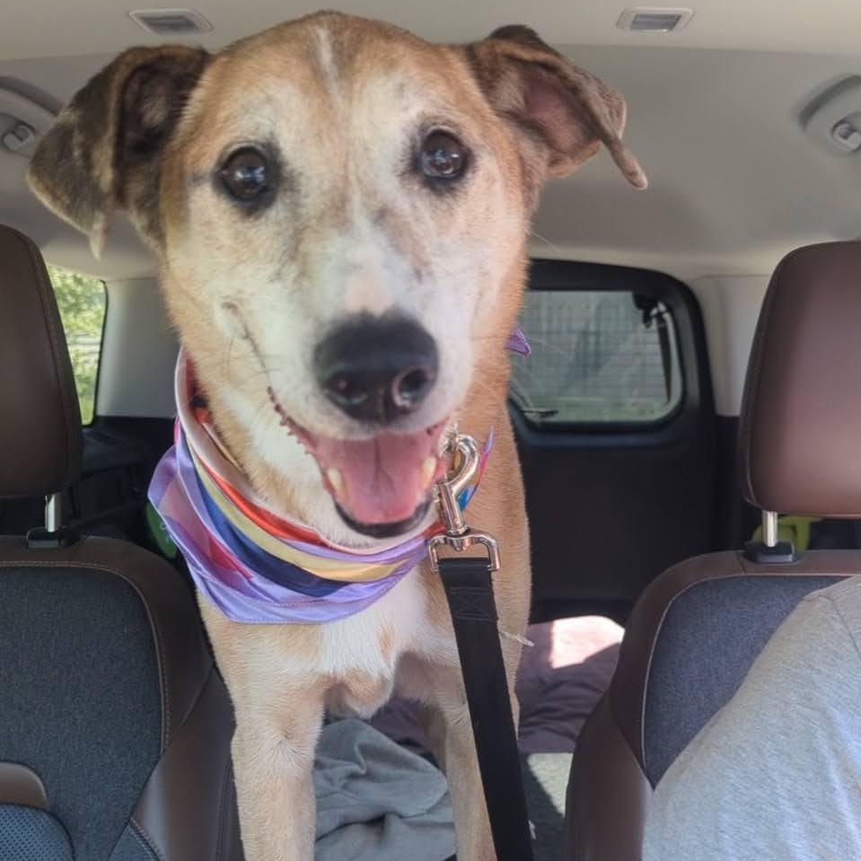 Athena — thumbnail 2