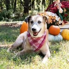 Athena — thumbnail 6