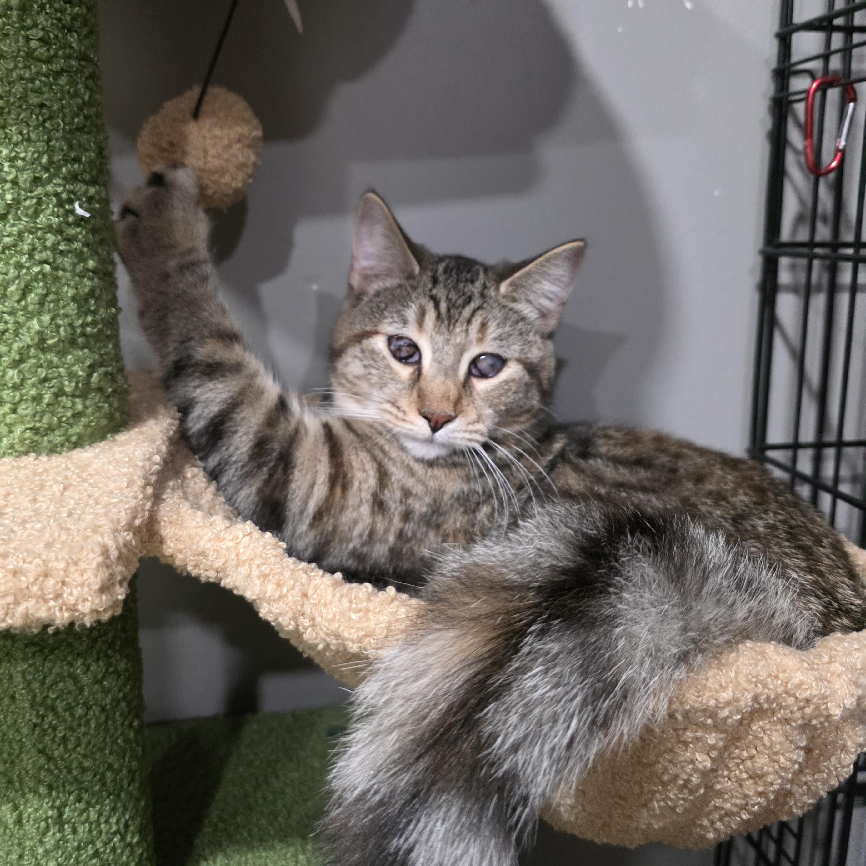 Serenity thumbnail 4