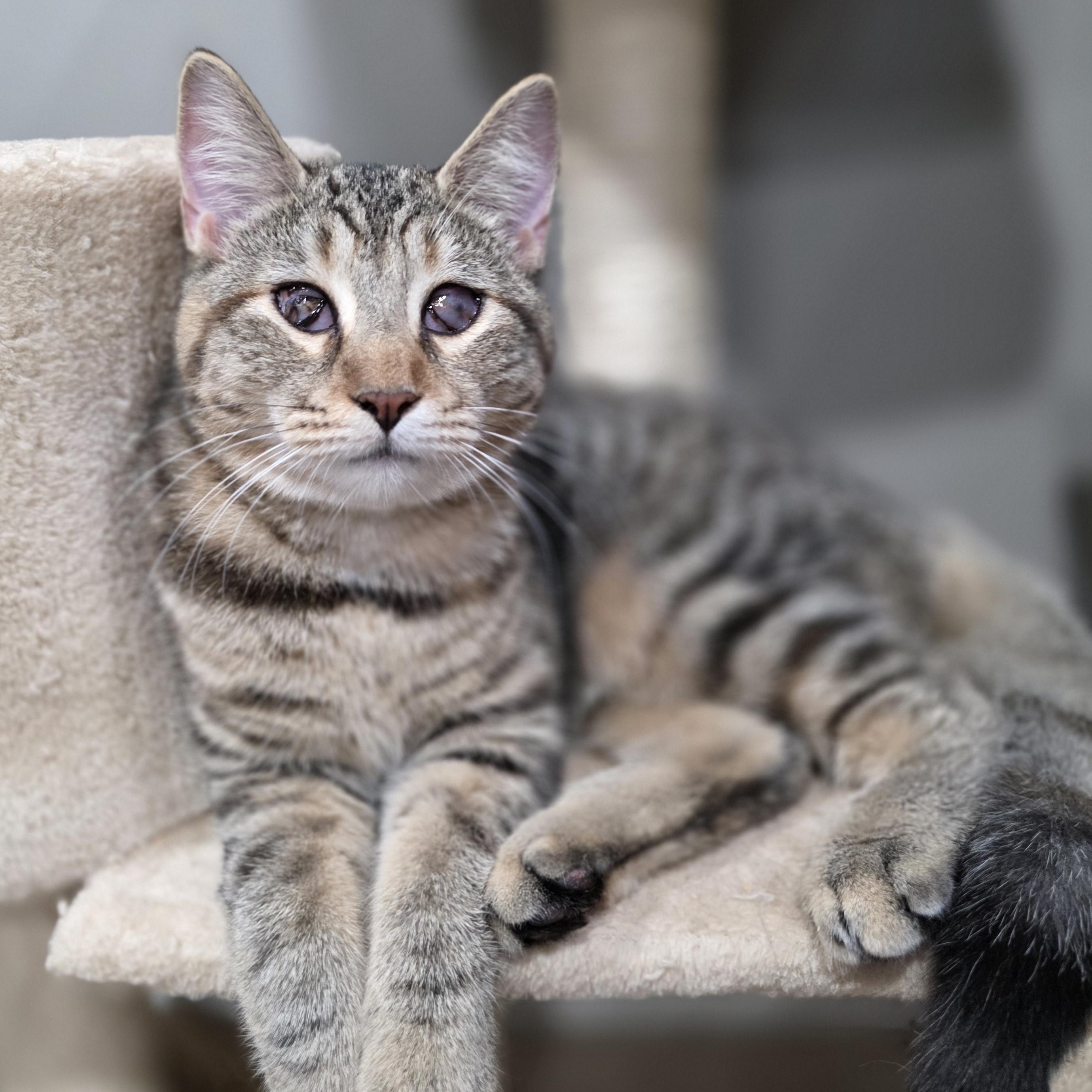 Serenity thumbnail 5