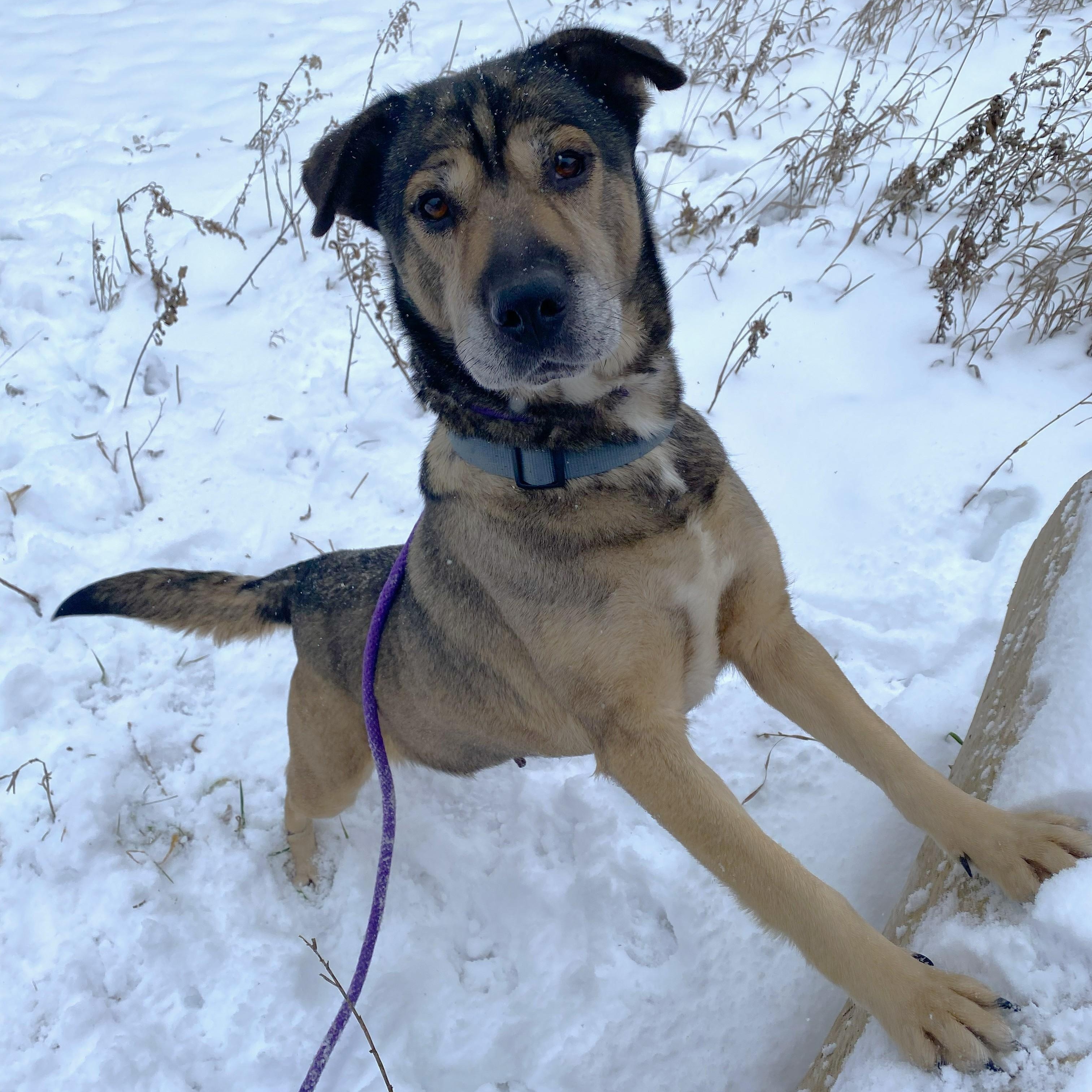 Mocha — thumbnail 2