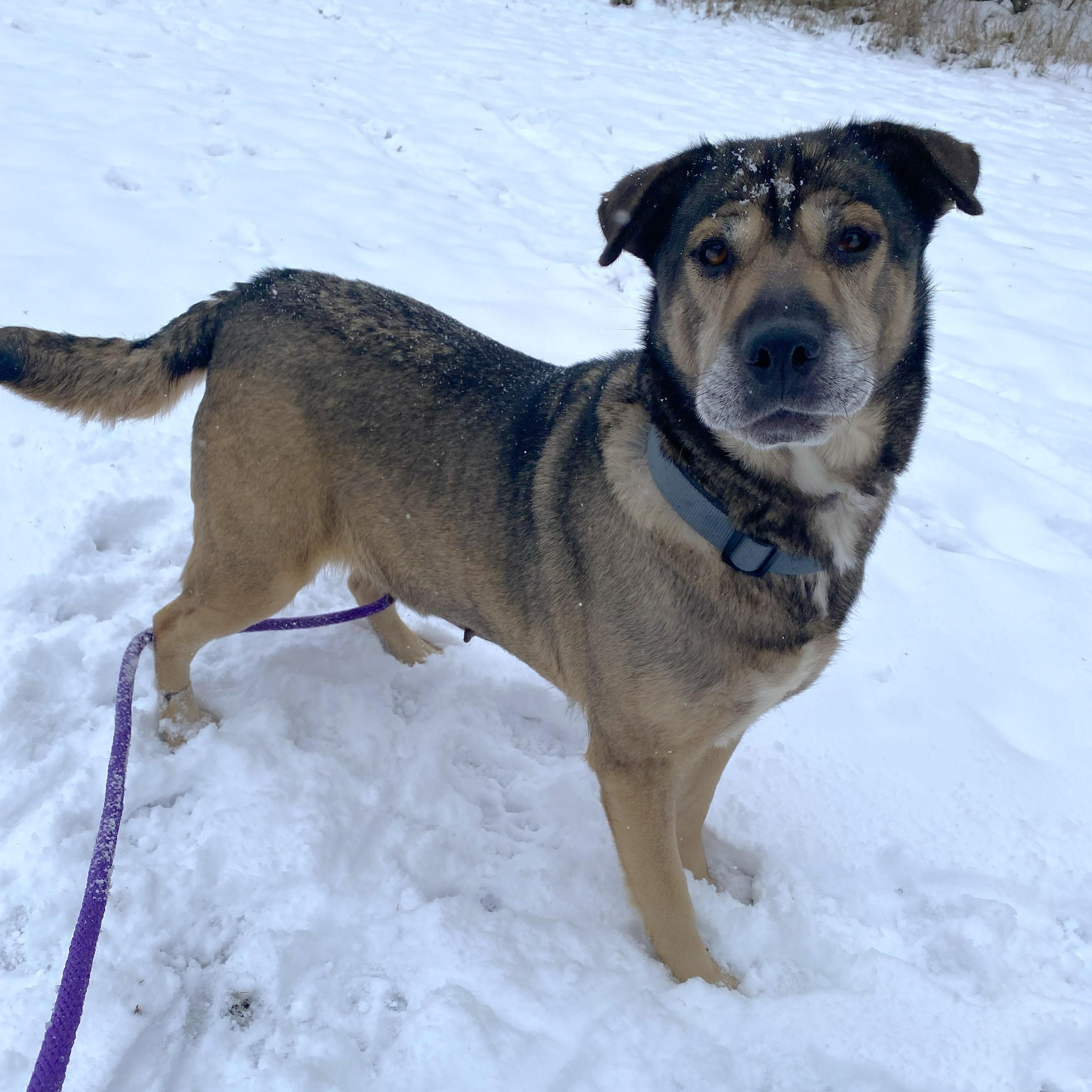 Mocha — thumbnail 4