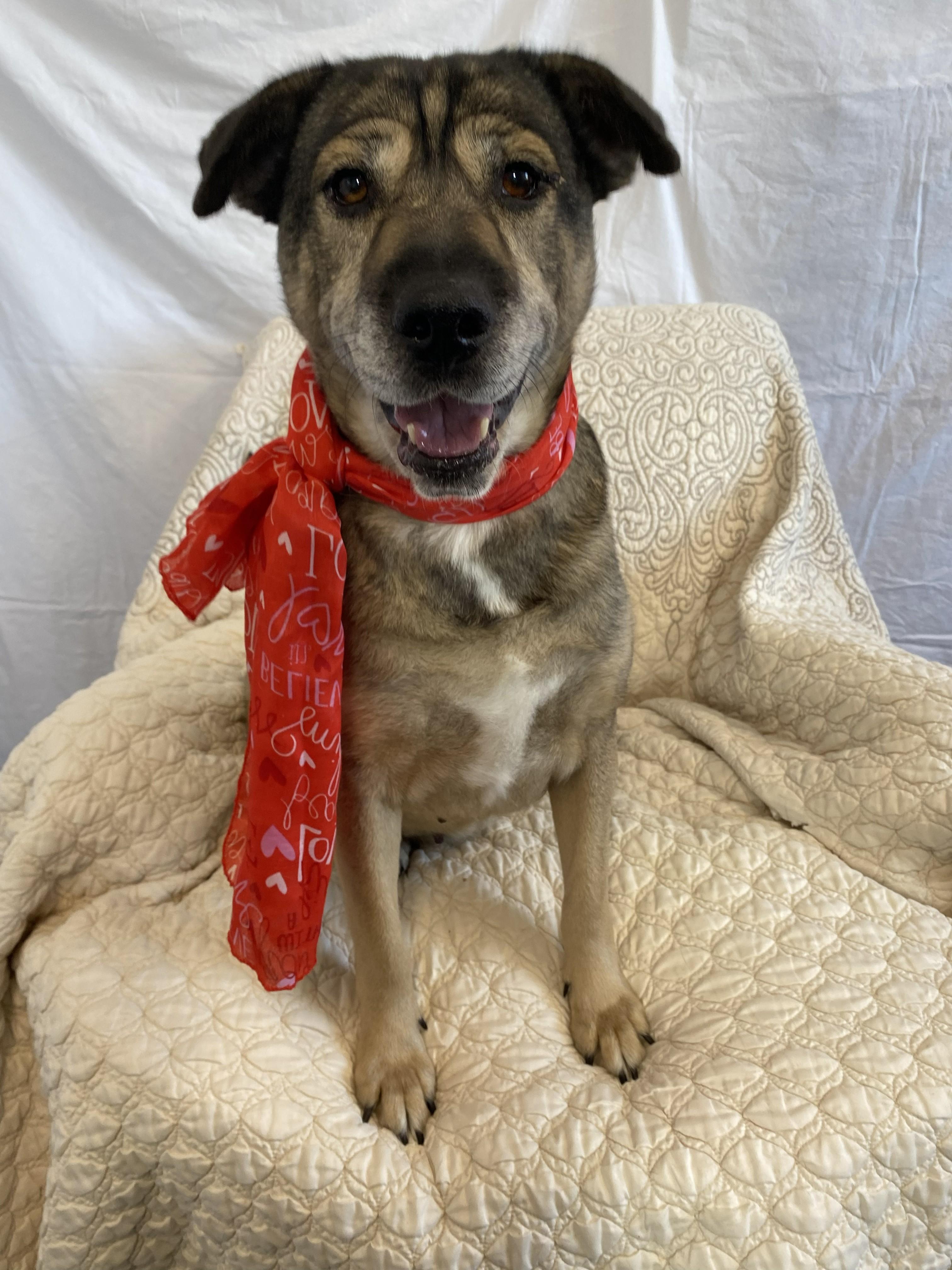 Mocha — thumbnail 5