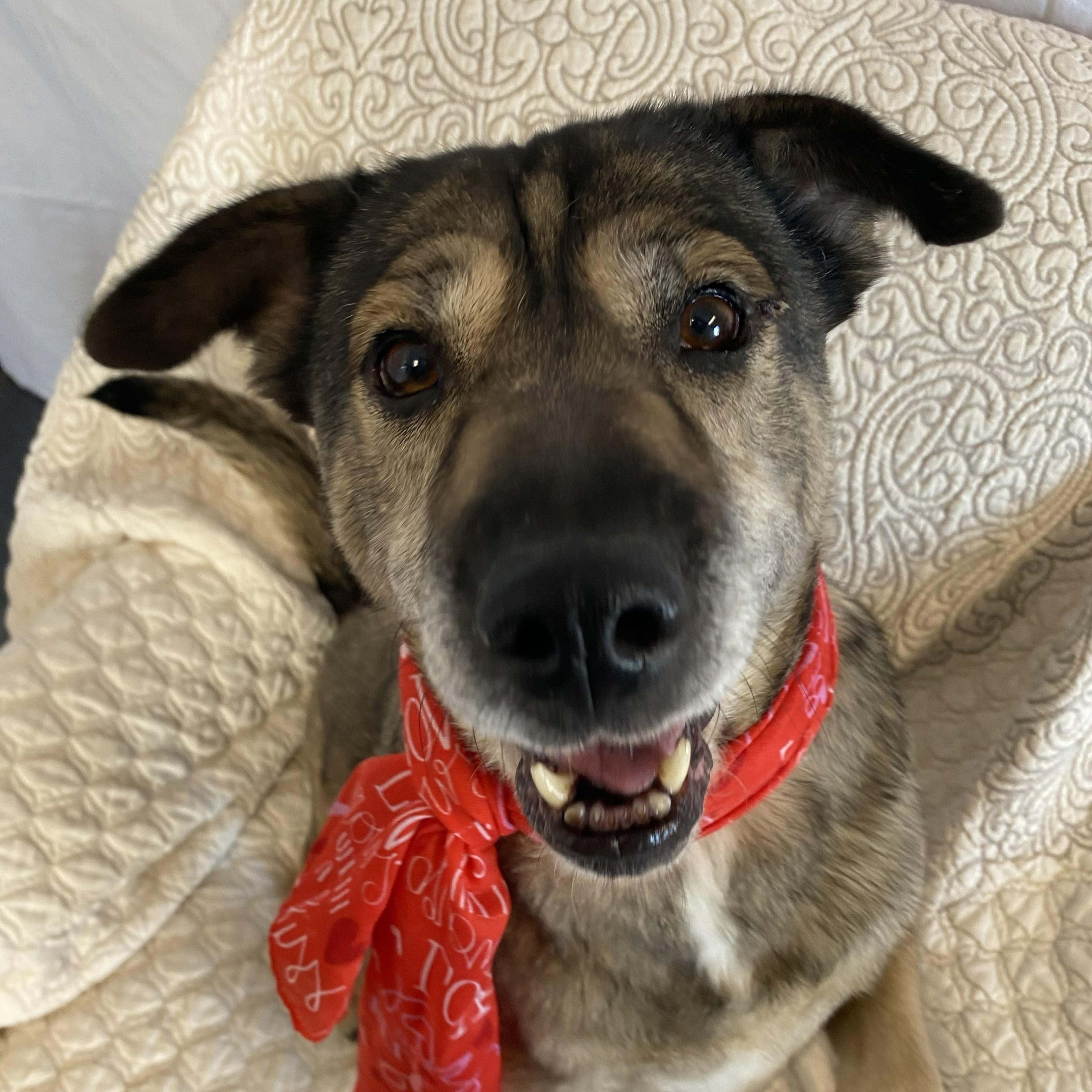 Mocha — thumbnail 6