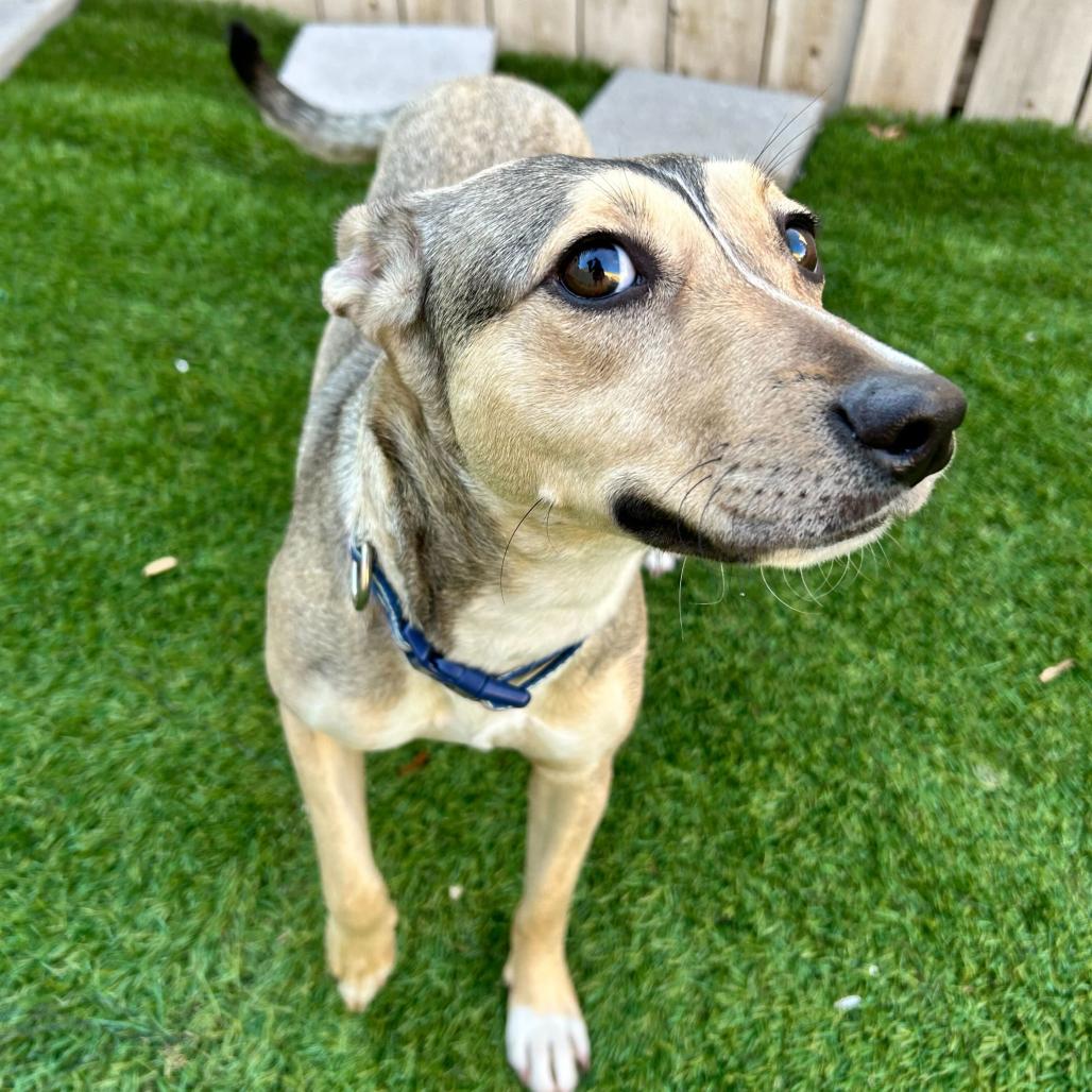 Penny — thumbnail 2