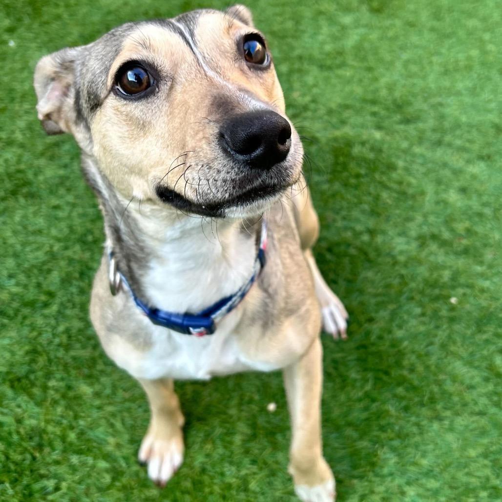 Penny — thumbnail 3