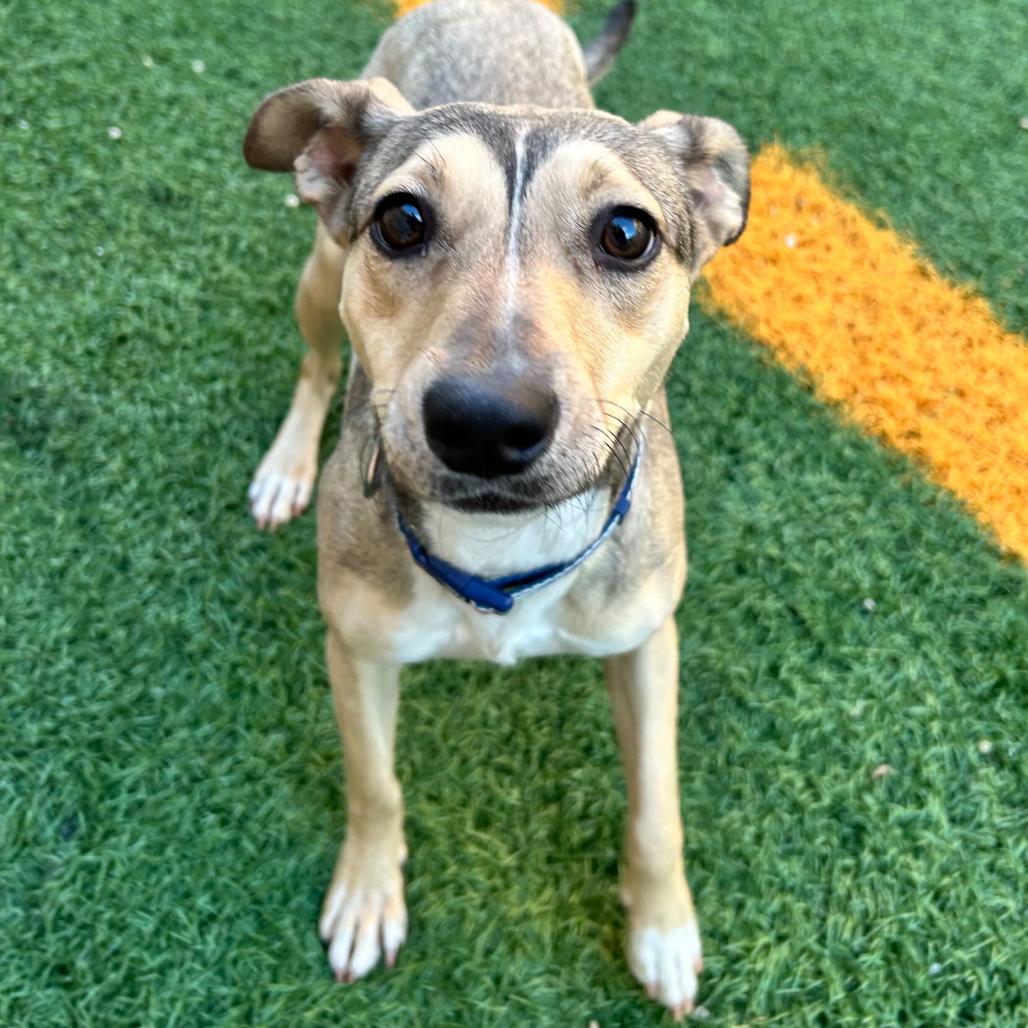 Penny — thumbnail 5