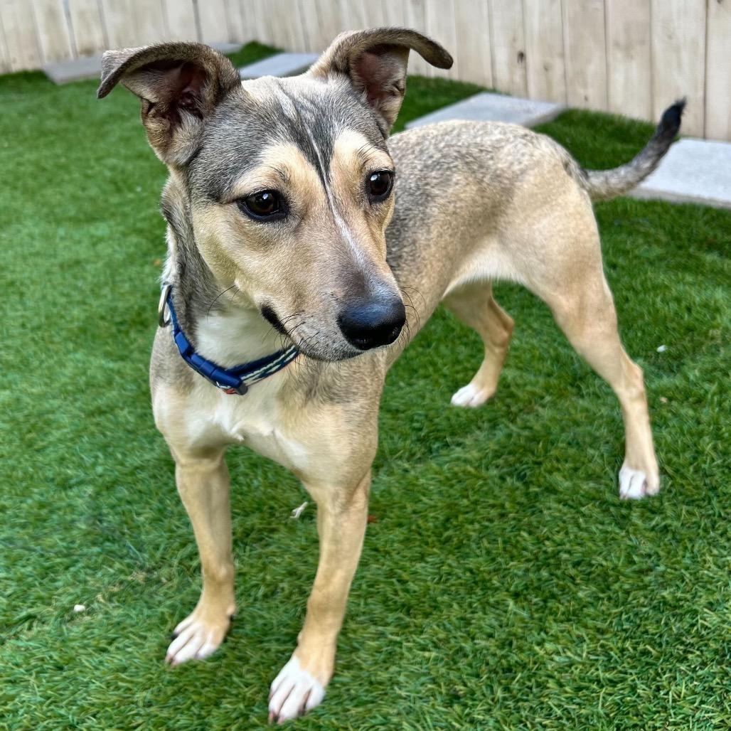 Penny — thumbnail 6