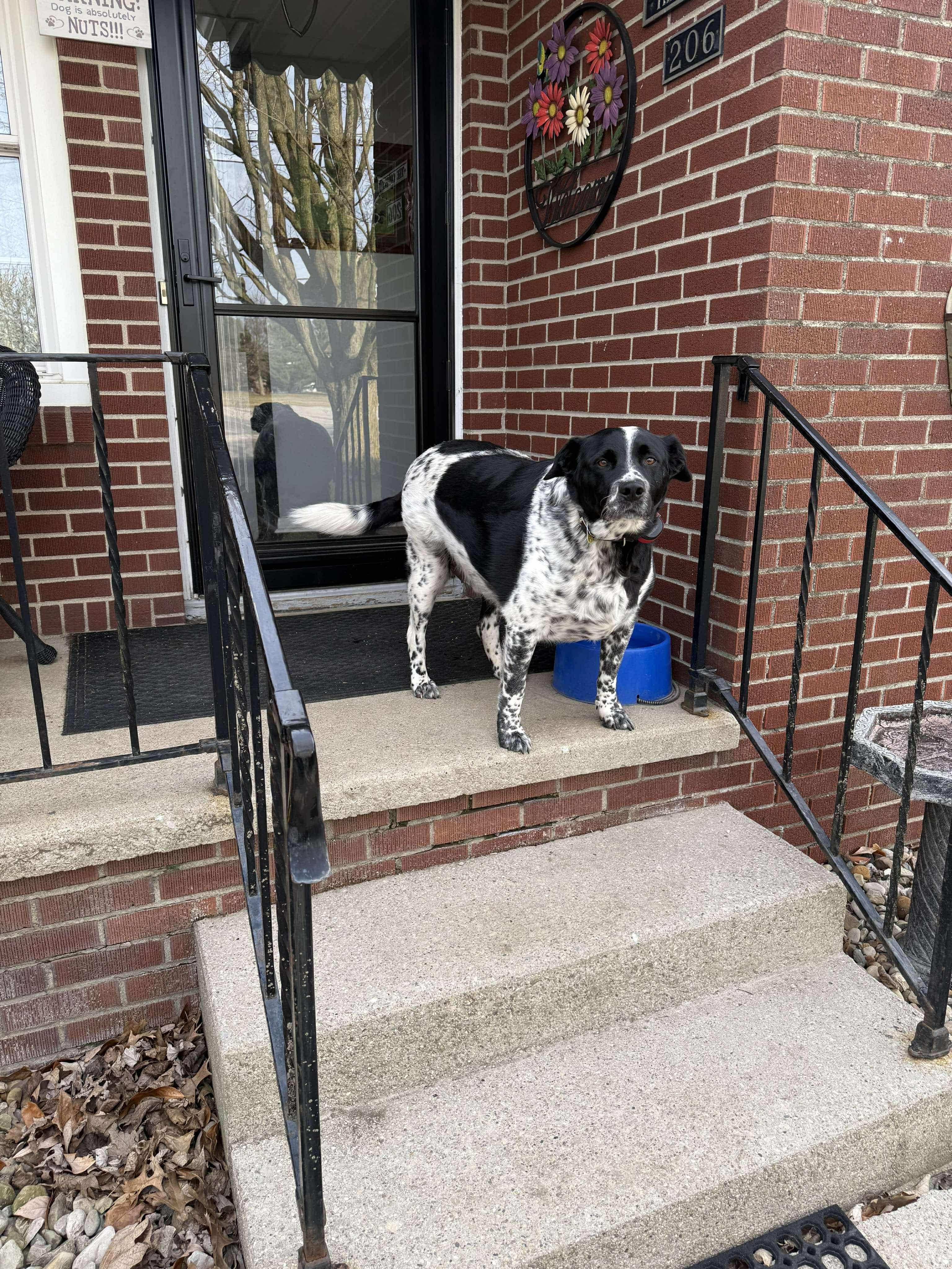 Skeeter photo 3