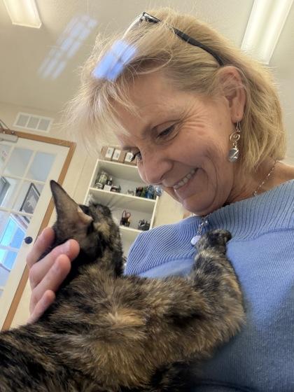 Enlarge Tortolina, an adoptable mixed breed in Salem, NH image 1/2