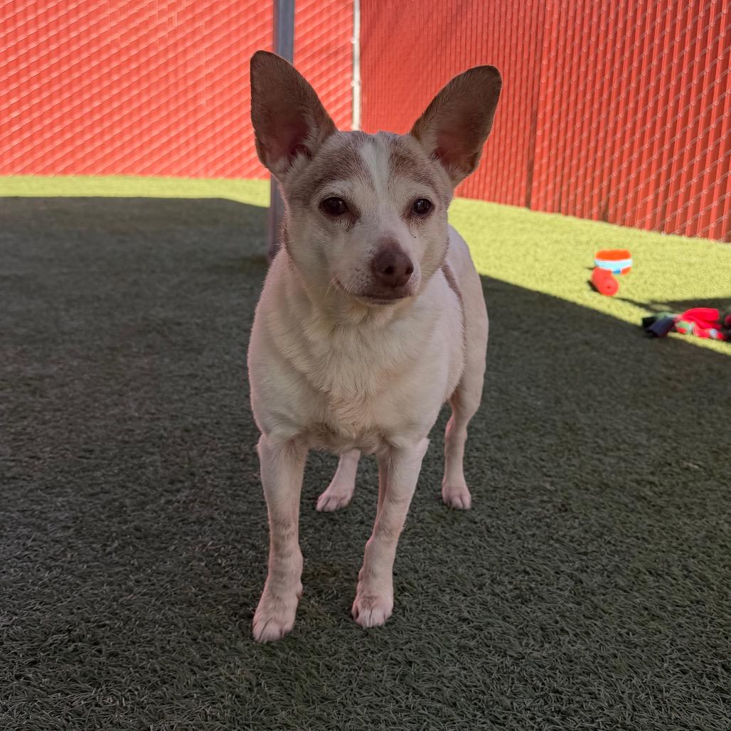 Kiyomi — thumbnail 4