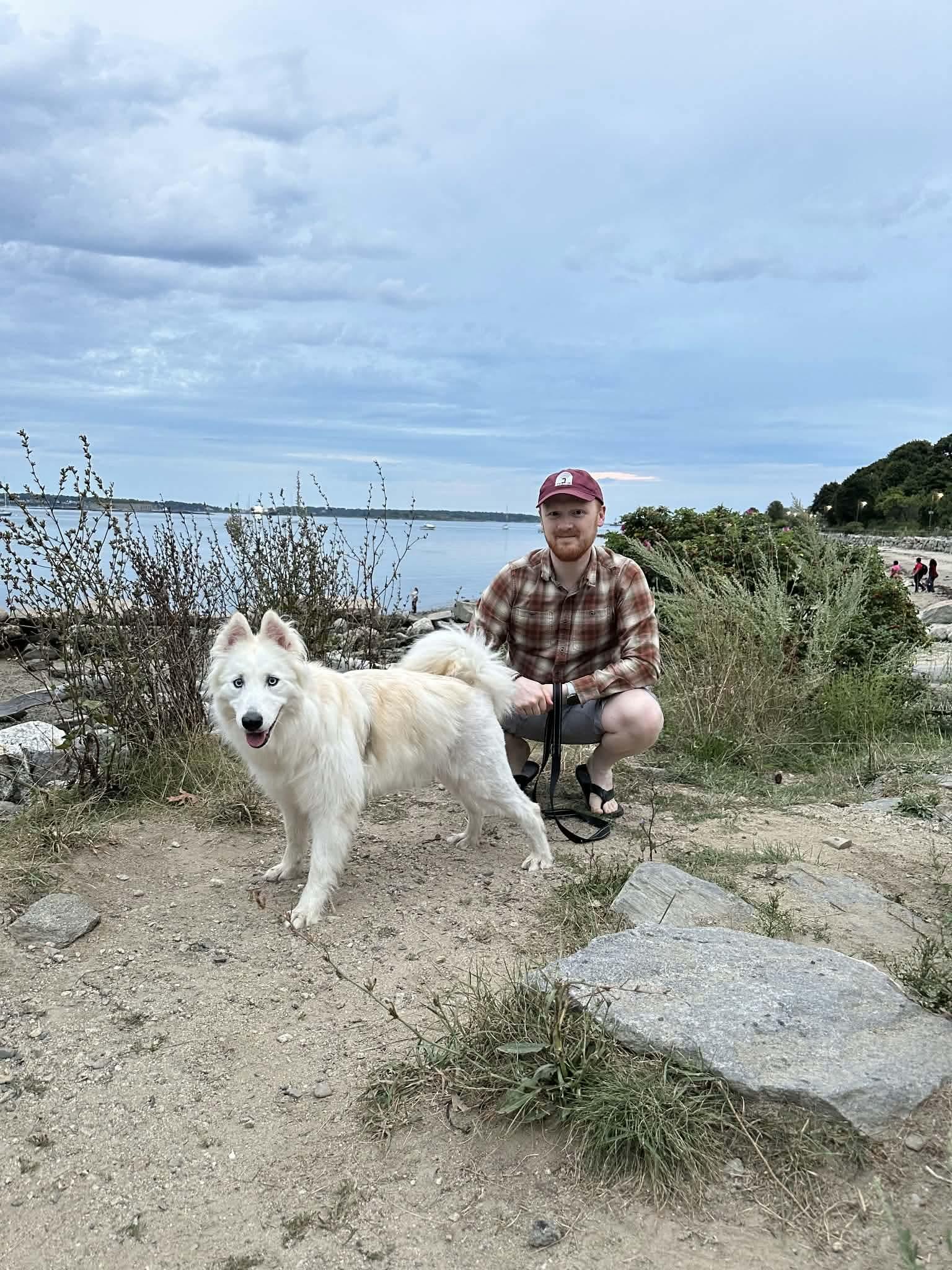 Enlarge Mia, a Adoptable mixed breed in Kennebunk , ME image 6/6