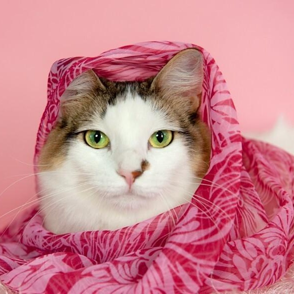 Merida Mex — thumbnail 3