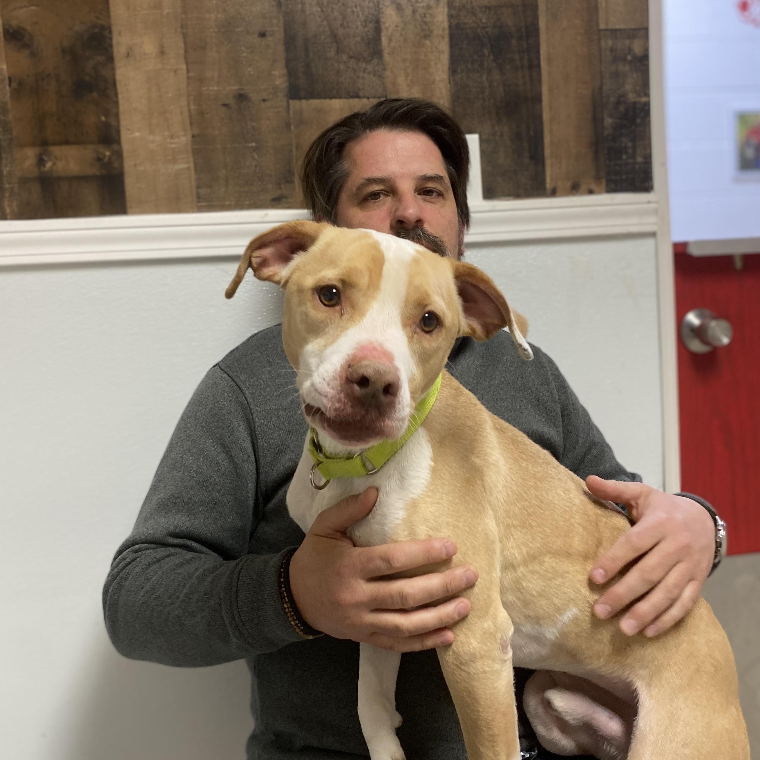 Enlarge Basil, a Adoptable Mixed Breed in Elyria, OH image 5/6