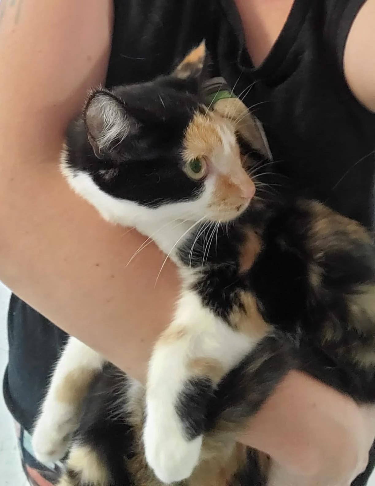 Della and Dani California